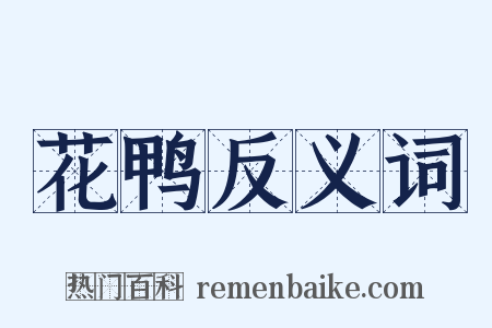 花鸭反义词是什么意思的图片